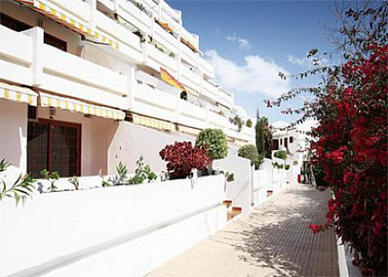 Nice Apartment On Las Americas Beach 美洲海滩 外观 照片